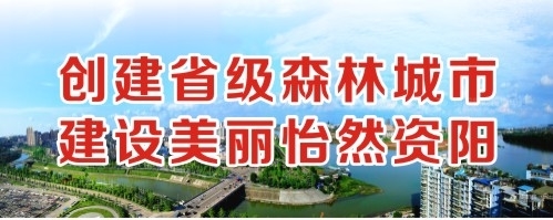 欧美操屄创建省级森林城市 建设美丽怡然资阳